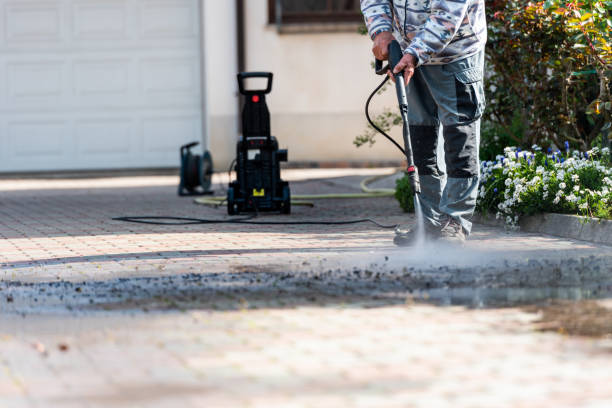 Best Roof Pressure Washing  in Easton, MD