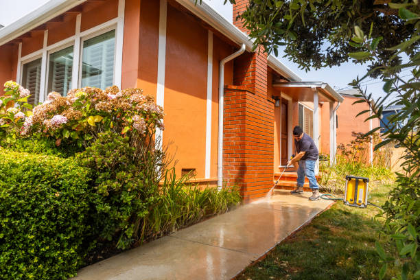 Best Affordable Pressure Washing  in Easton, MD